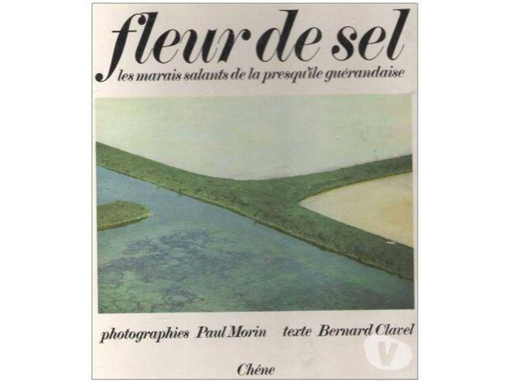 Livres occasion Tarn-et-Garonne Montauban - 82000 - Photos Vivastreet B CLAVEL FLEUR de SEL, les marais salants de la presqu'île g