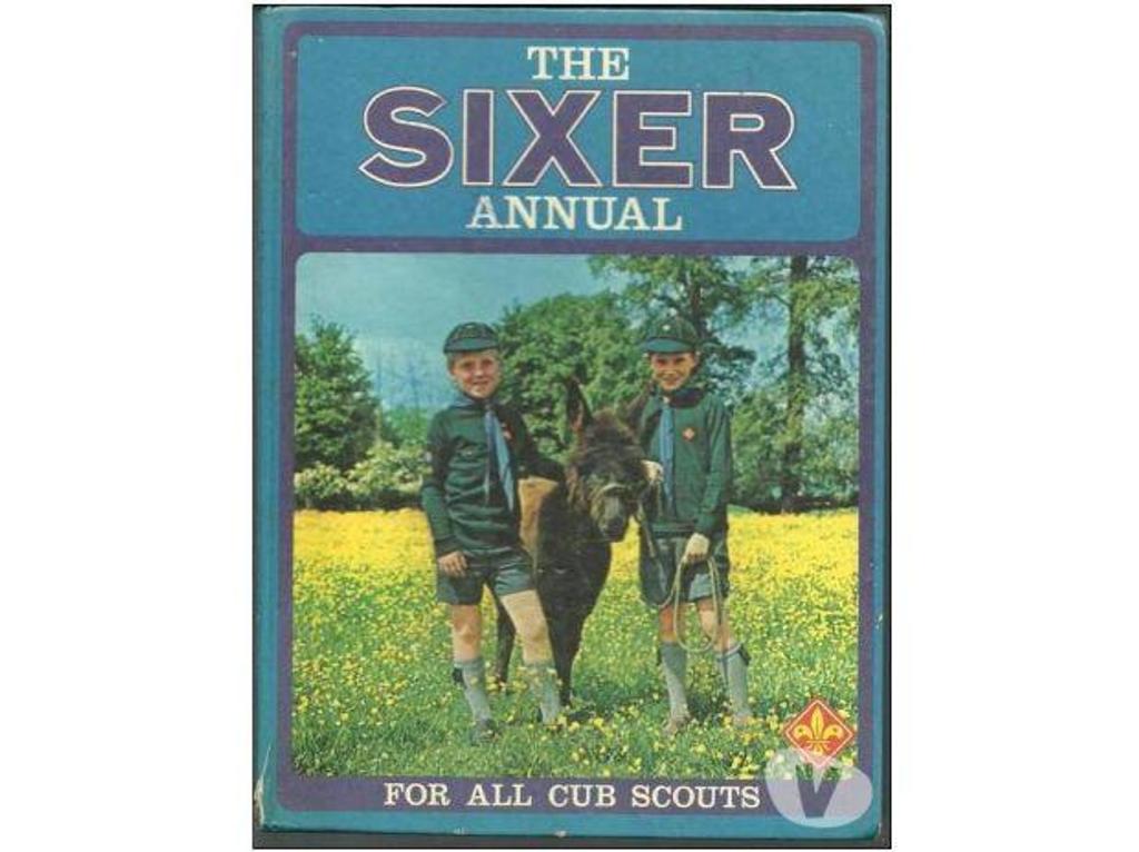 Livres occasion Tarn-et-Garonne Montauban - 82000 - Photos Vivastreet The sixer annual for all cub scouts (en anglais)