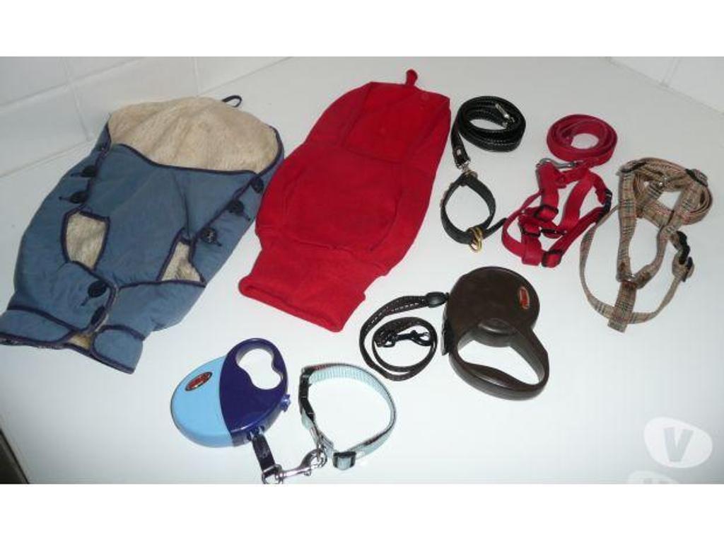 Services, accessoires animaux Seine-et-Marne Meaux - 77100 - Photos Vivastreet MANTEAUX, LAISSES et HARNAIS pour CANICHE