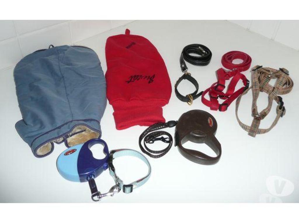 Services, accessoires animaux Seine-et-Marne Meaux - 77100 - Photos Vivastreet MANTEAUX, LAISSES et HARNAIS pour CANICHE