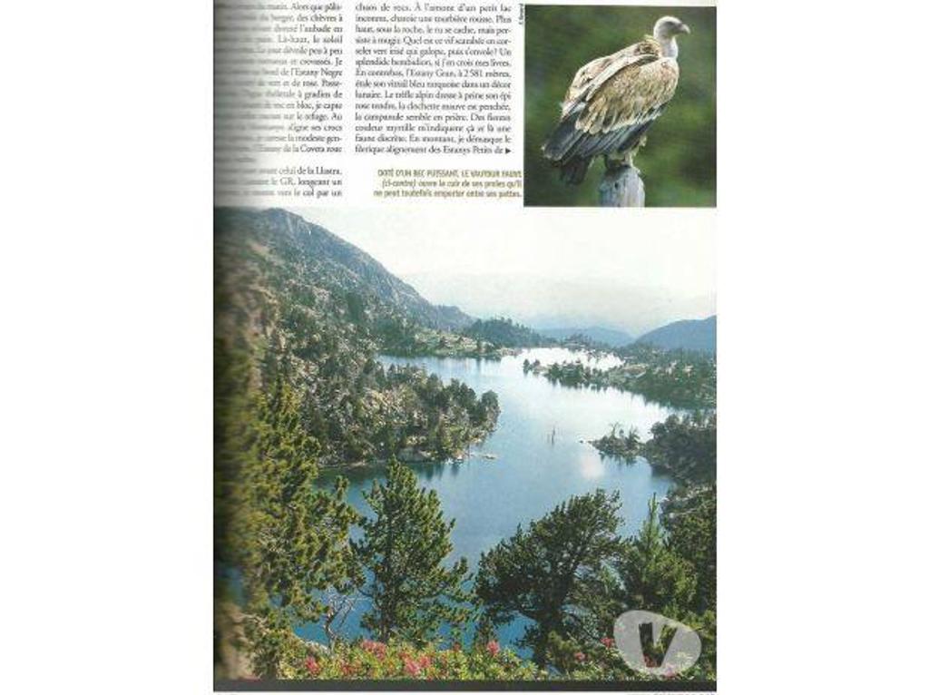 Livres occasion Tarn-et-Garonne Montauban - 82000 - Photos Vivastreet TERRE SAUVAGE n° 206 juin 2005 : Pyrénées Mer Rouge Camargue