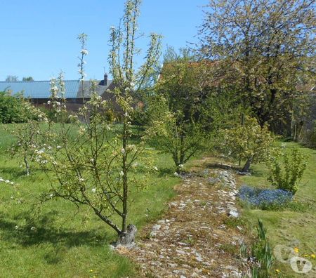 Vente Maison Pas-de-Calais Hebuterne - 62111 - Photos Vivastreet GRANDE MAISON DE CARACTERE