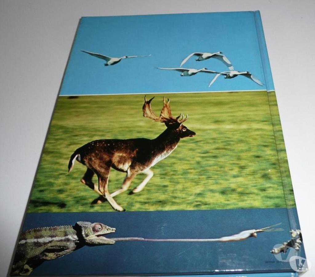 Livres occasion Seine-et-Marne Meaux - 77100 - Photos Vivastreet LA CHASSE PHOTOGRAPHIQUE