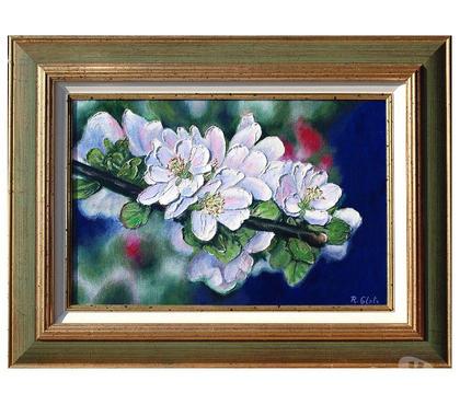 Collections Drusenheim Bas-Rhin - Photos Vivastreet Fleurs de pommier(B).#Glotz 300€