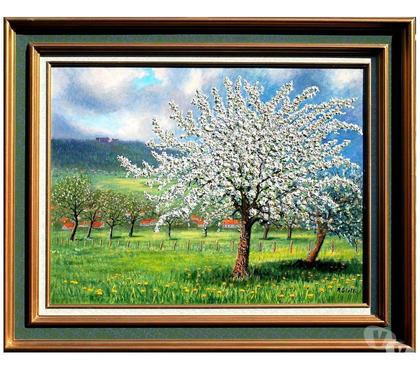 Collections Drusenheim Bas-Rhin - Photos Vivastreet Pommier en fleurs devant le H.-B. #Glotz 250€