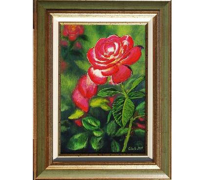 Collection Drusenheim Bas-Rhin - Photos Vivastreet La rose pourpre. #Glotz 150€