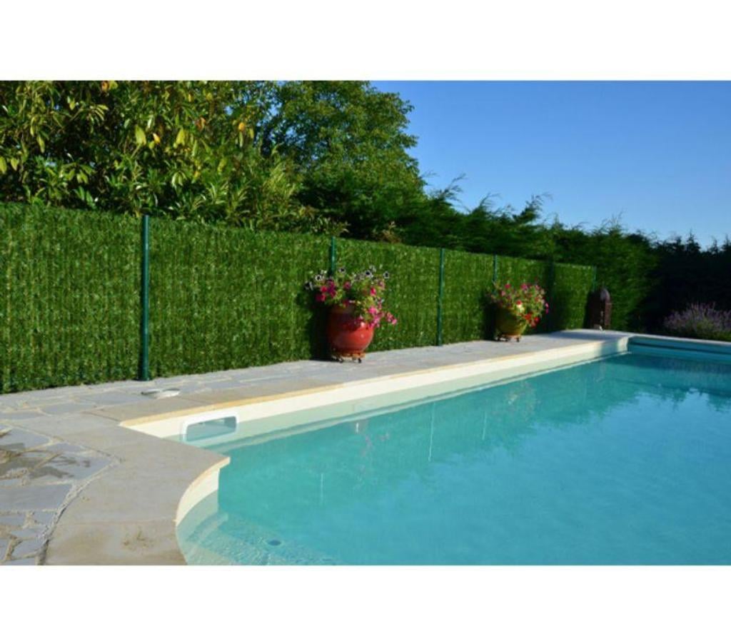 Nord Lille - Photos Vivastreet HAIE ETERNELLE Brise-vue Hauteur 1.80 M