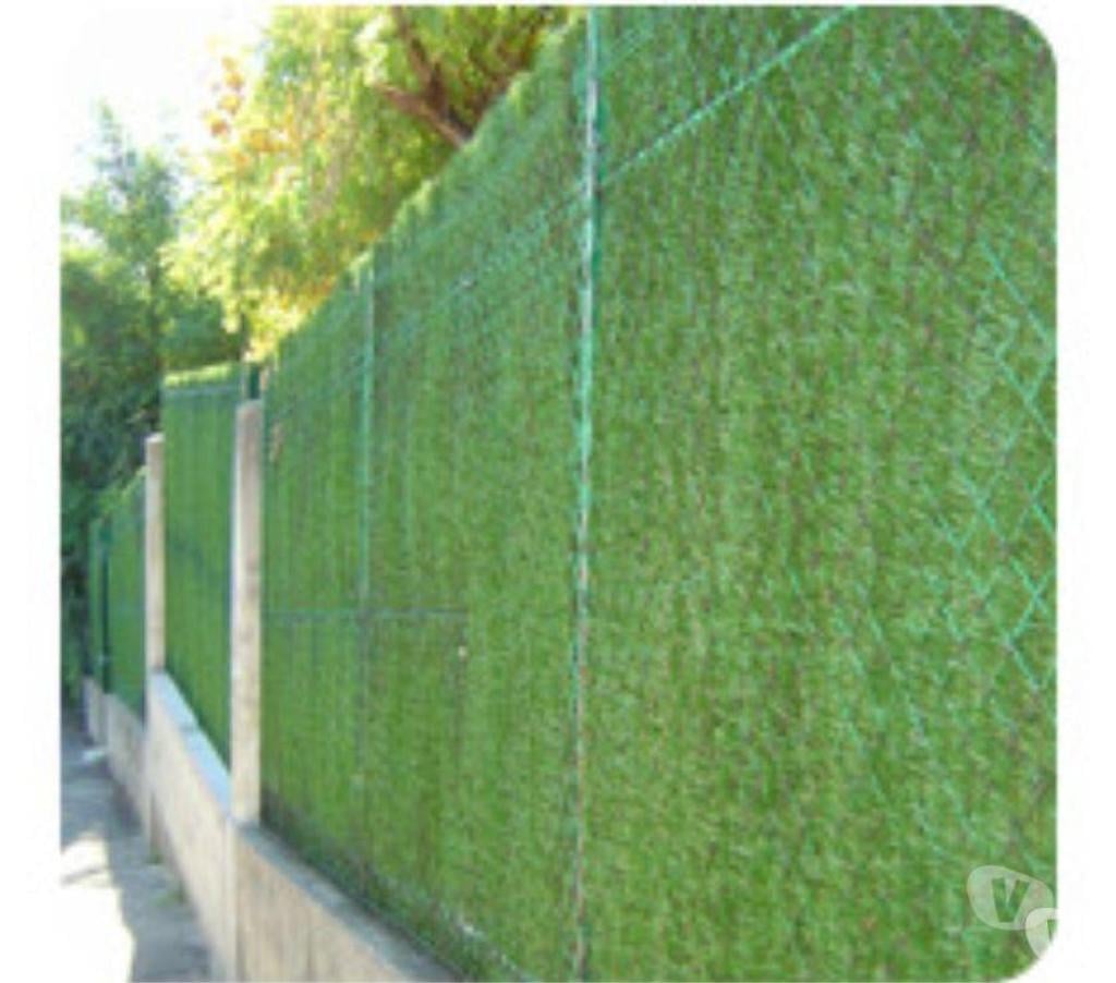 Nord Lille - Photos Vivastreet HAIE ETERNELLE Brise-vue Hauteur 1.80 M