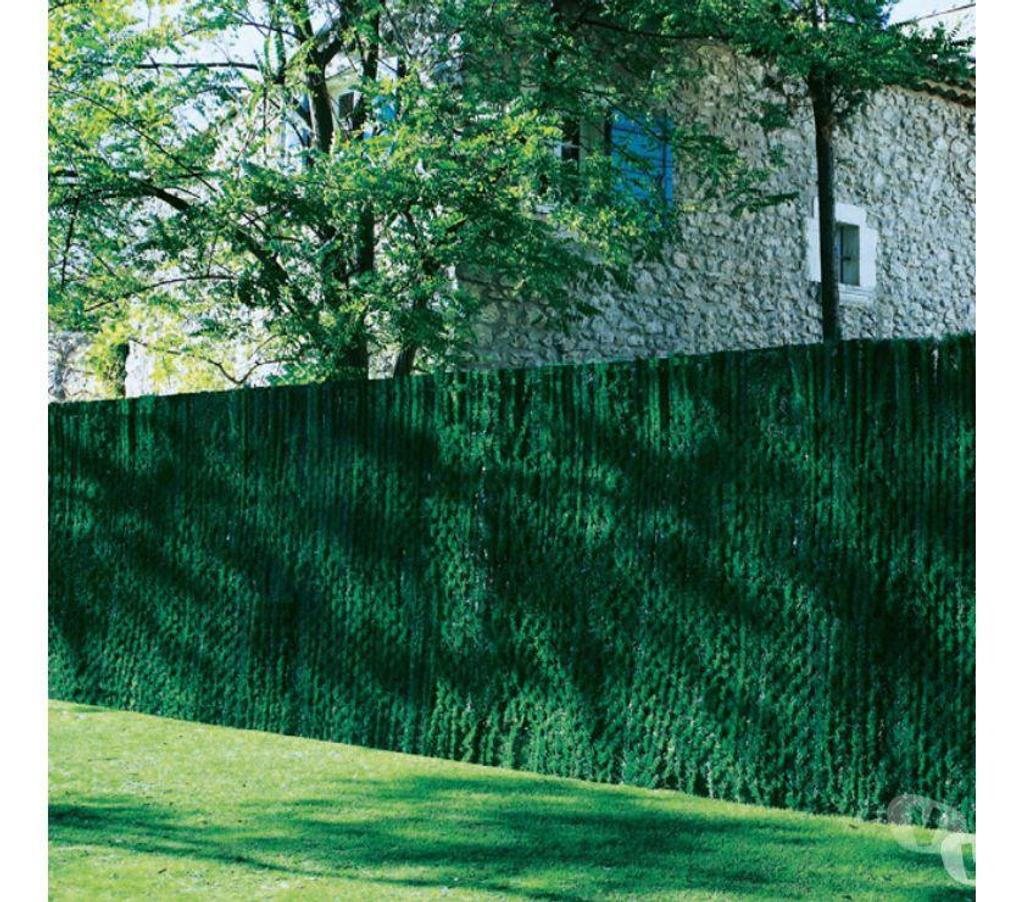 Nord Lille - Photos Vivastreet HAIE ETERNELLE Brise-vue Hauteur 1.80 M