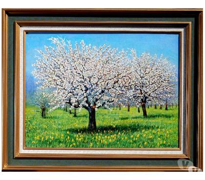 Collection Drusenheim Bas-Rhin - Photos Vivastreet Les cerisiers en fleurs à Barr.#Glotz 280€