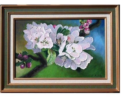 Collections Drusenheim Bas-Rhin - Photos Vivastreet Fleurs de pommier (D).#Glotz 200€