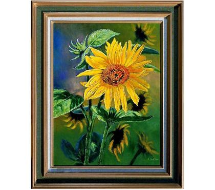 Collections Drusenheim Bas-Rhin - Photos Vivastreet Tournesols marguerite.#Glotz 350€