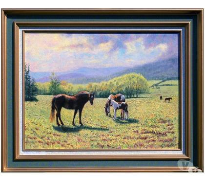 Collections Drusenheim Bas-Rhin - Photos Vivastreet Chevaux et poulains.#Glotz 480€