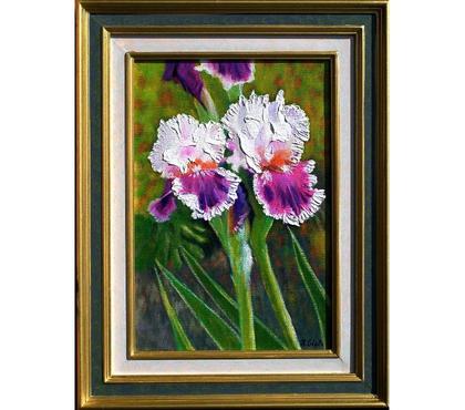 Collection Drusenheim Bas-Rhin - Photos Vivastreet Les Iris blancs violets (P5) .#Glotz 190€