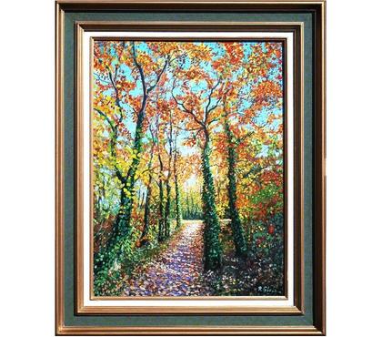 Collections Drusenheim Bas-Rhin - Photos Vivastreet Le sentier le long du Kreuzrhein.#Glotz 450€