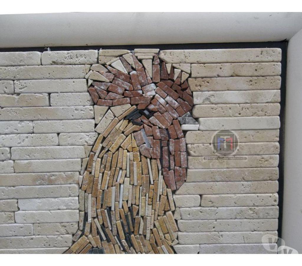 Décoration - art Var Forcalqueiret - 83136 - Photos Vivastreet Travertin Mixte Tableaux Coq 60x60cm
