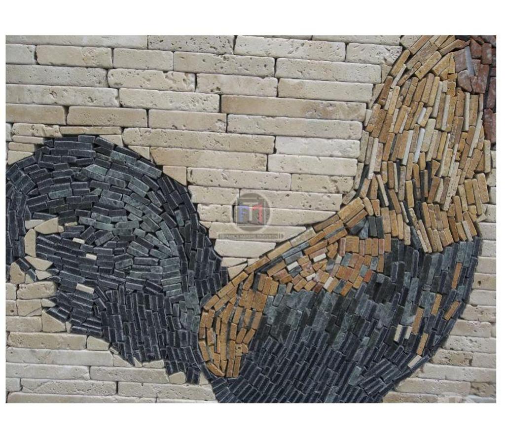 Décoration - art Var Forcalqueiret - 83136 - Photos Vivastreet Travertin Mixte Tableaux Coq 60x60cm