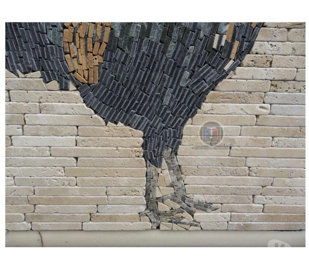 Décoration - art Var Forcalqueiret - 83136 - Photos Vivastreet Travertin Mixte Tableaux Coq 60x60cm