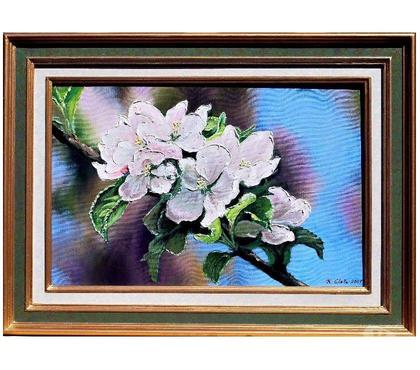 Collections Drusenheim Bas-Rhin - Photos Vivastreet Branche de fleurs de pommier (C) #Glotz 260€