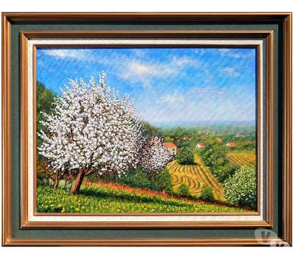 Collection Drusenheim Bas-Rhin - Photos Vivastreet Le printemps à Thal-Marmoutier .#Glotz 350€