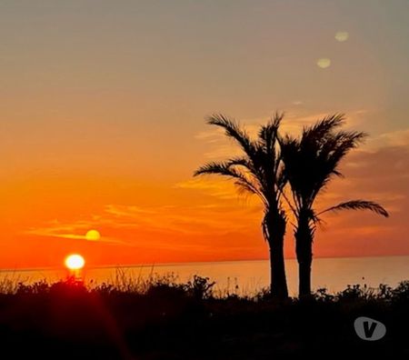 location saisonniere Pyrénées-Orientales Le Barcares - 66420 - Photos Vivastreet VACANCES FACE MER - Pïeds dans l'eau - BARCARES P.O.
