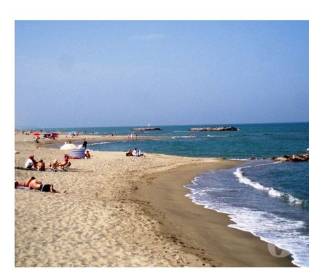 location saisonniere Pyrénées-Orientales Le Barcares - 66420 - Photos Vivastreet VACANCES FACE MER - Pïeds dans l'eau - BARCARES P.O.