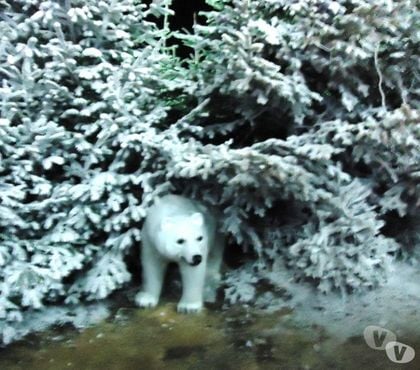 Locations de vacances Le Barcares Pyrénées-Orientales - Photos Vivastreet VACANCES FACE MER - Pïeds dans l'eau - BARCARES P.O.