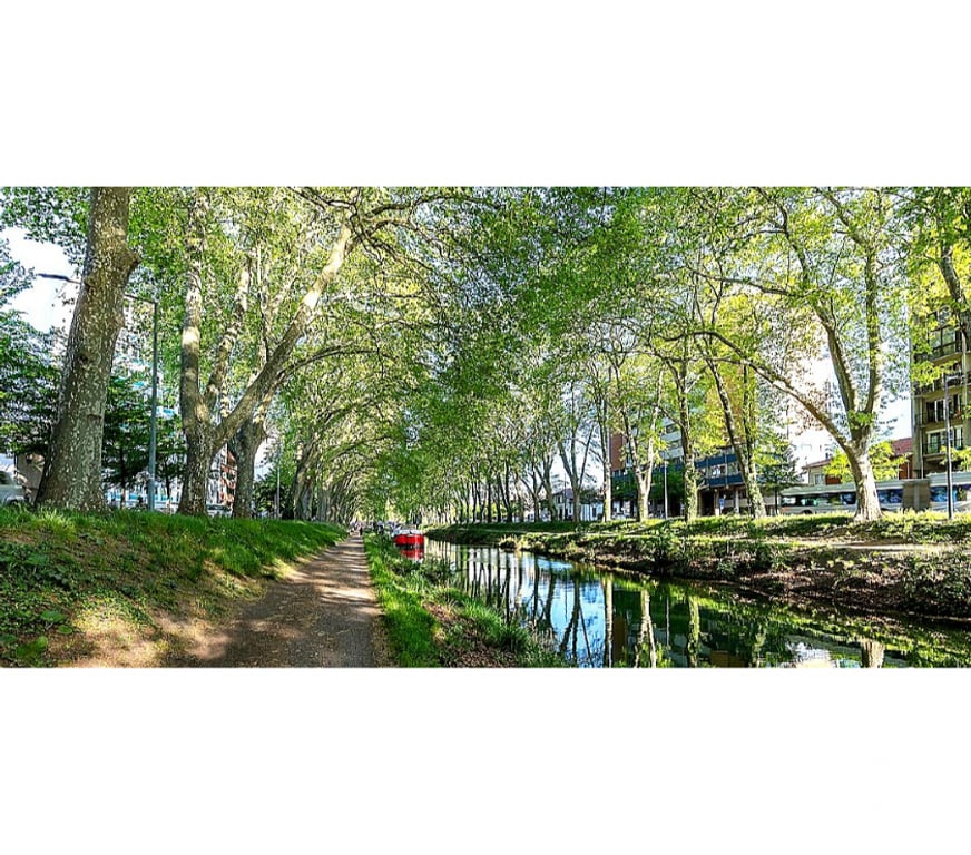 Castings, modèles, photographes Haute-Garonne Toulouse - Photos Vivastreet Photographe Amateur Sérieux Passionné...