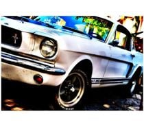 Photographe Amateur Sérieux Passionné...