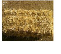 Graines (Blé, maïs ,orge, avoine) + paille + foin + miel bio