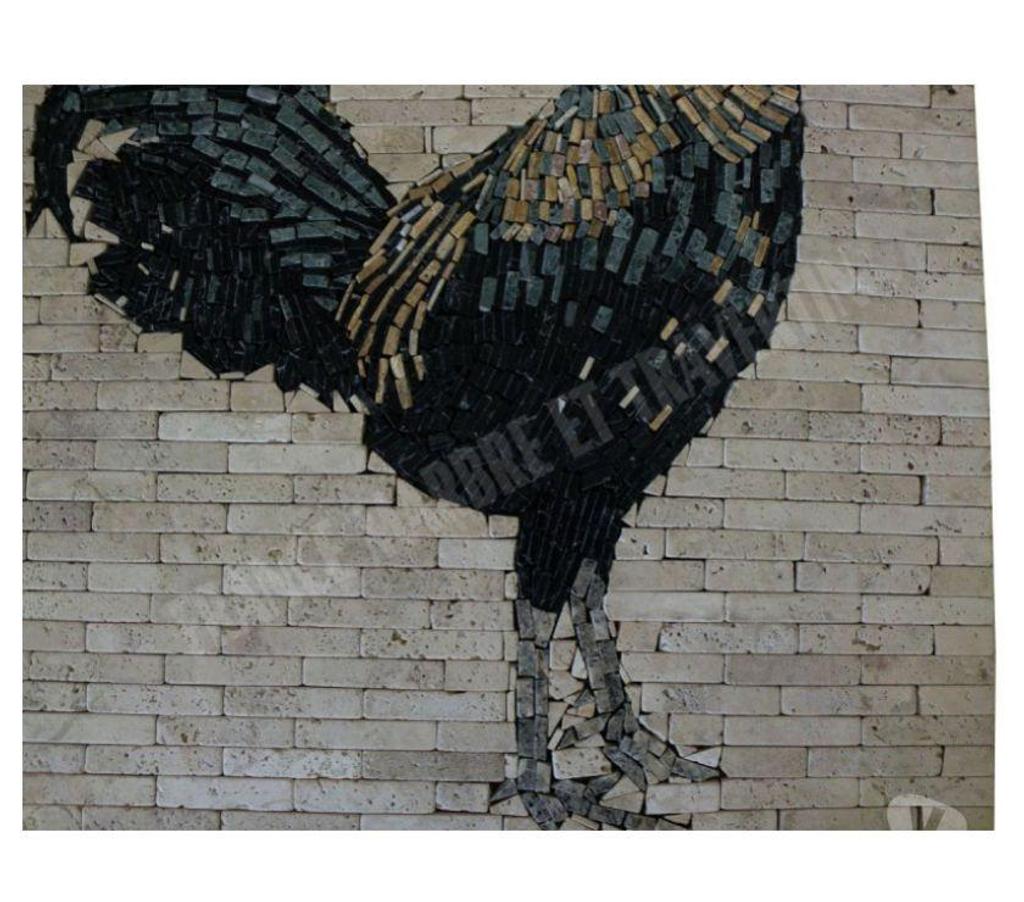 Var Forcalqueiret - 83136 - Photos Vivastreet Travertin Rosaces Coq sur filet 61 x 61 cm