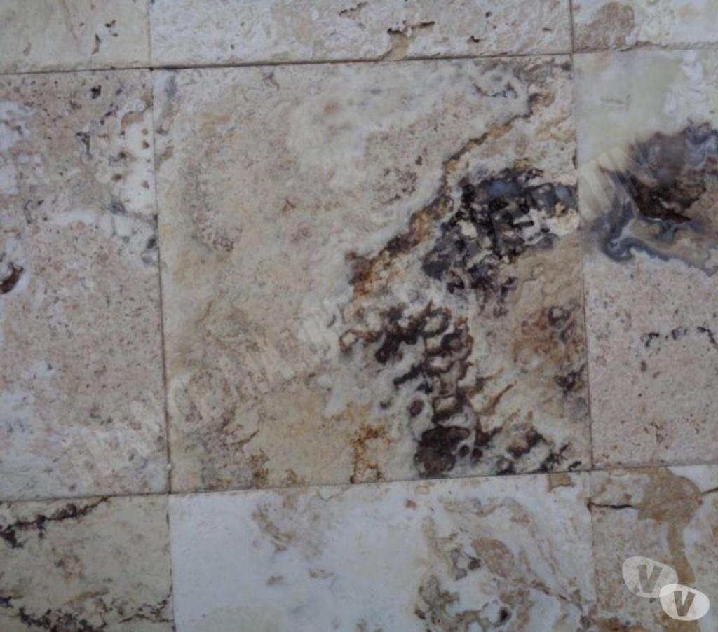 Décoration - art Var Forcalqueiret - 83136 - Photos Vivastreet Travertin Philadelphia 40x40 cm