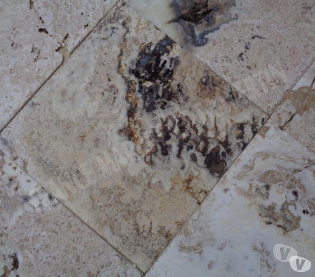 Décoration - art Var Forcalqueiret - 83136 - Photos Vivastreet Travertin Philadelphia 40x40 cm