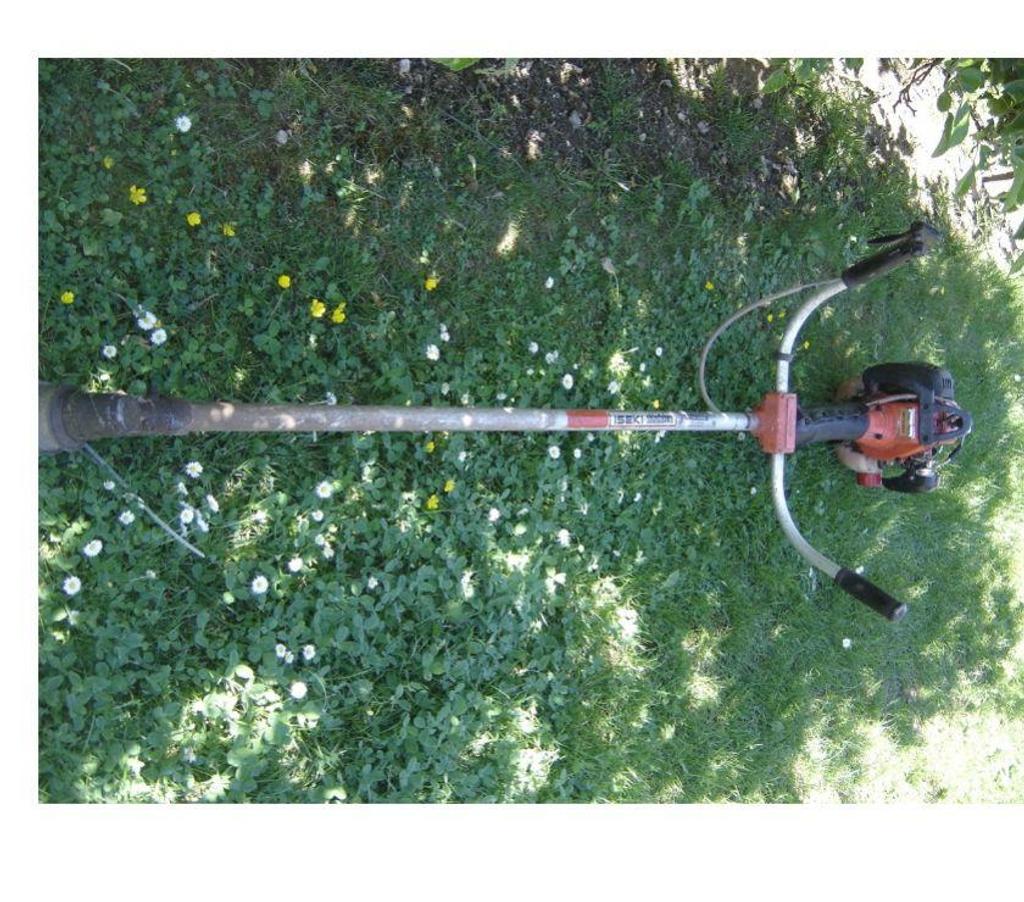  Côte-d'Or Dijon - 21000 - Photos Vivastreet débroussailleuse iséki shindawa DYB 351 et DYB 251