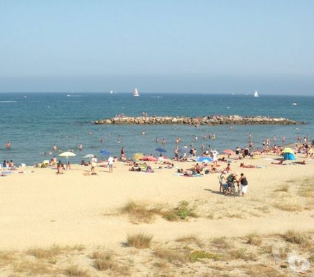 location saisonniere Pyrénées-Orientales Le Barcares - 66420 - Photos Vivastreet FACE MER, PIEDS DANS L'EAU, pour UNE à QUATRE personnes.