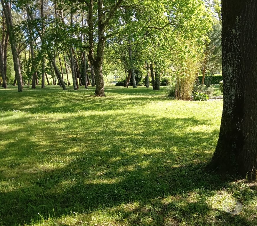 Vente Maison Lot-et-Garonne Casteljaloux - 47700 - Photos Vivastreet propriete dans belle environnement