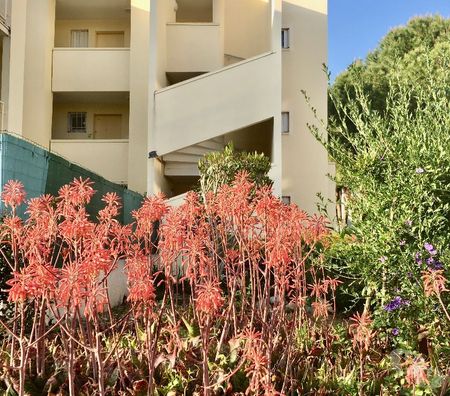 location saisonniere Hérault Balaruc les Bains - 34540 - Photos Vivastreet joli 2 pièces tout confort 2* avec belle vue wifi parking 