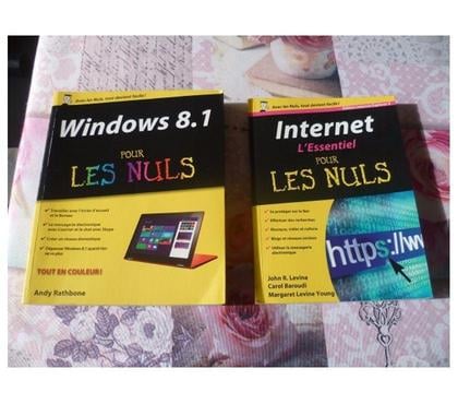 Livres occasion Semecourt Moselle - Photos Vivastreet LivreS informatique Les nuls ordi internet Windows noel