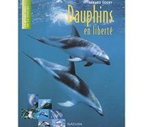 Dauphins en liberté NATHAN