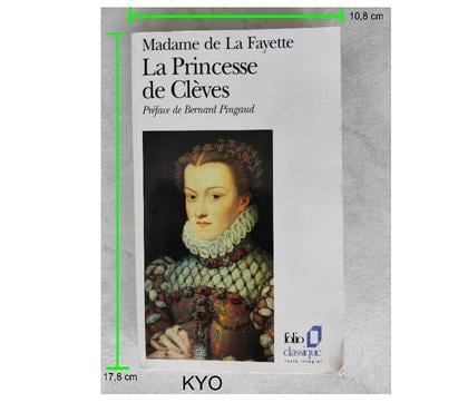 Livres occasion Foncine le Haut Jura - Photos Vivastreet Madame Fayette - La Princesse de Clèves -Très bon état