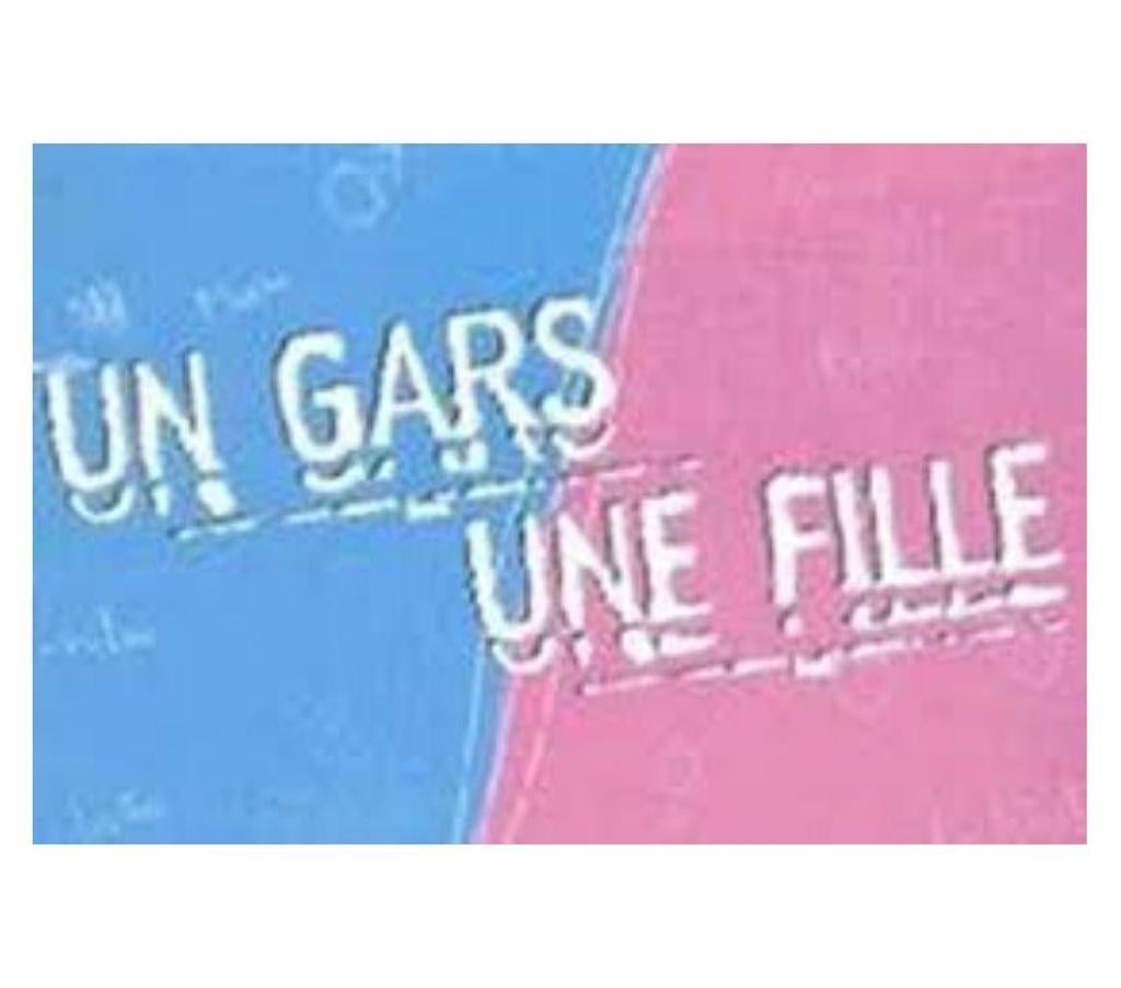 DVD occasion Nord La Groise - 59360 - Photos Vivastreet LOT 4 DVD UN GARS UNE FILLE 