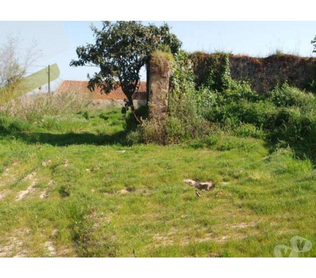 Terrain à vendre Portugal - Photos Vivastreet Terrain - ï¿½bidos - 810m2