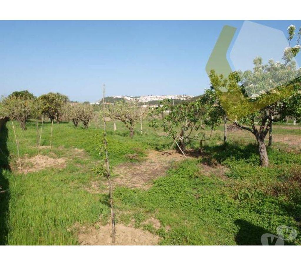 Vente Maison Portugal - Photos Vivastreet Maison - ï¿½bidos - 120m2