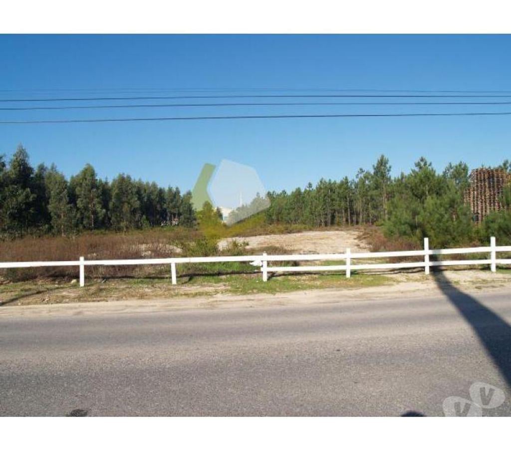 Terrain à vendre Portugal - Photos Vivastreet Terrain - Caldas da Rainha - 17115m2