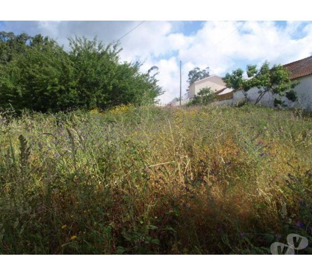 Terrain à vendre Portugal - Photos Vivastreet Terrain - Caldas da Rainha - 7329m2