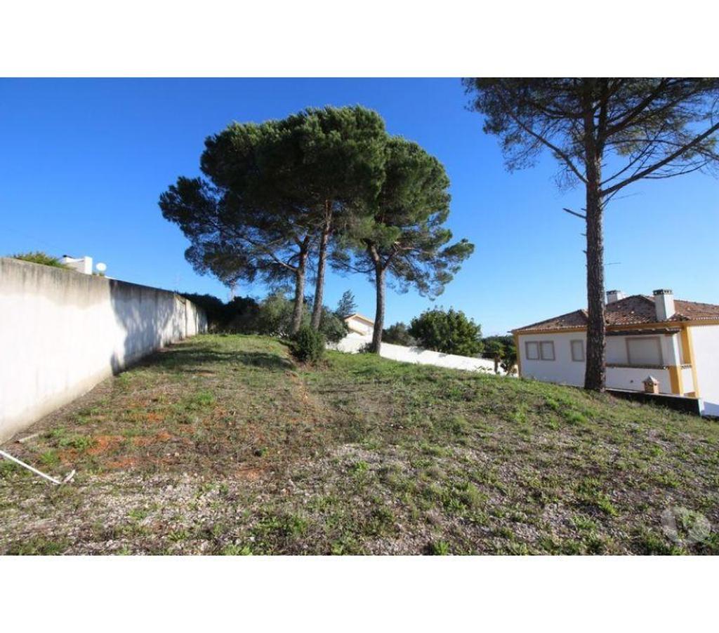 Terrain à vendre Portugal - Photos Vivastreet Terrain - Cadaval - 755m2