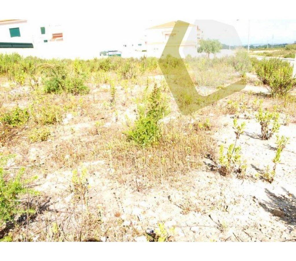 Terrain à vendre Portugal - Photos Vivastreet Terrain - Caldas da Rainha - 440m2