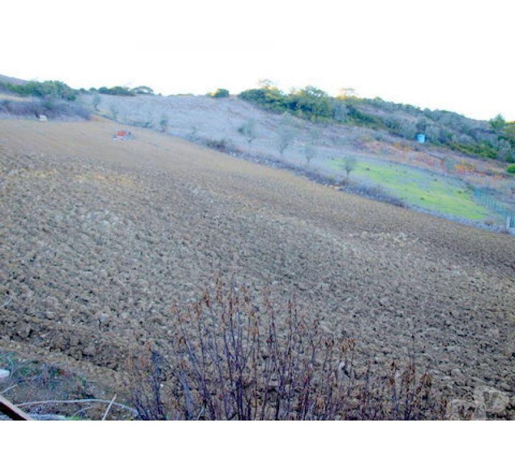 Terrain à vendre Portugal - Photos Vivastreet Terrain - Sobral de Monte Agraï¿½o - 10840m2