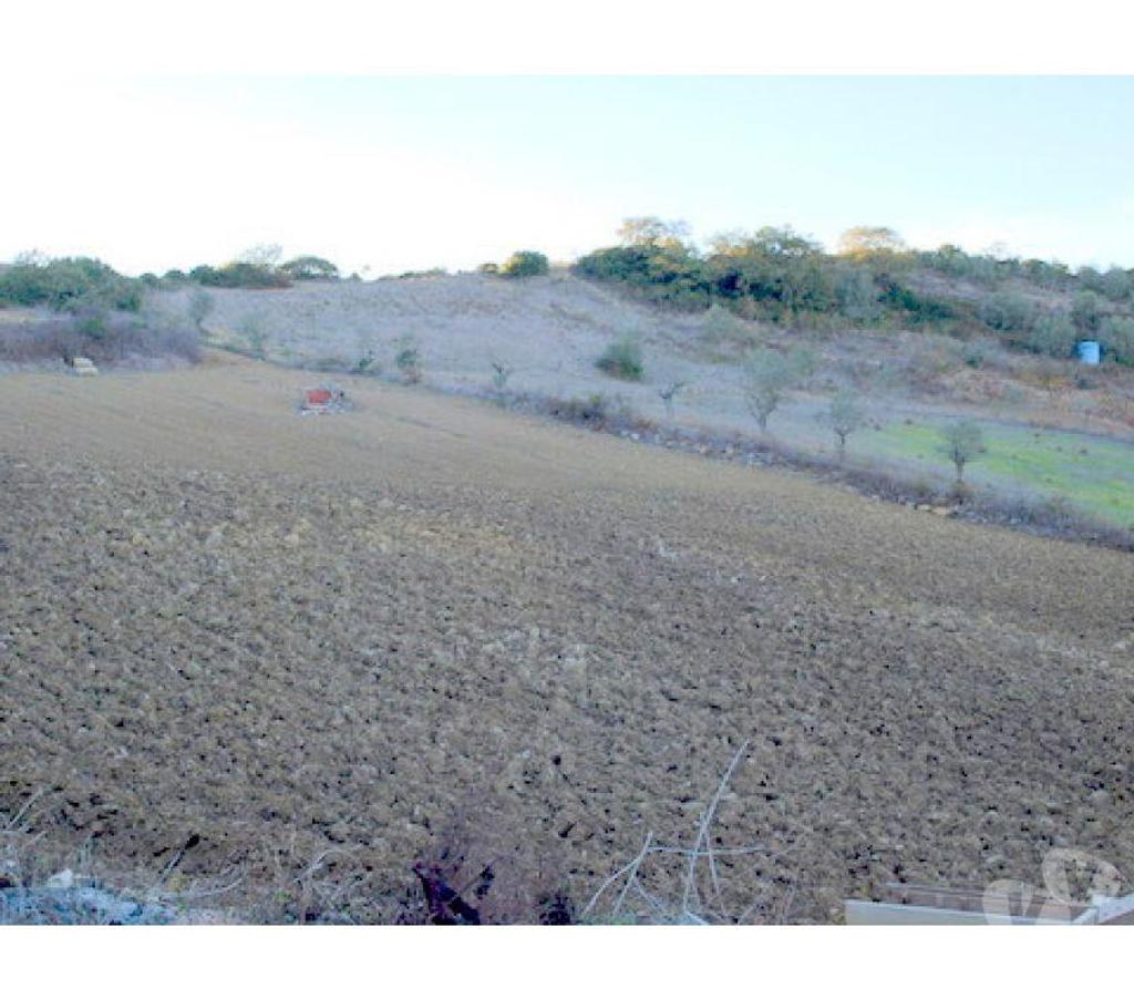Terrain à vendre Portugal - Photos Vivastreet Terrain - Sobral de Monte Agraï¿½o - 10840m2