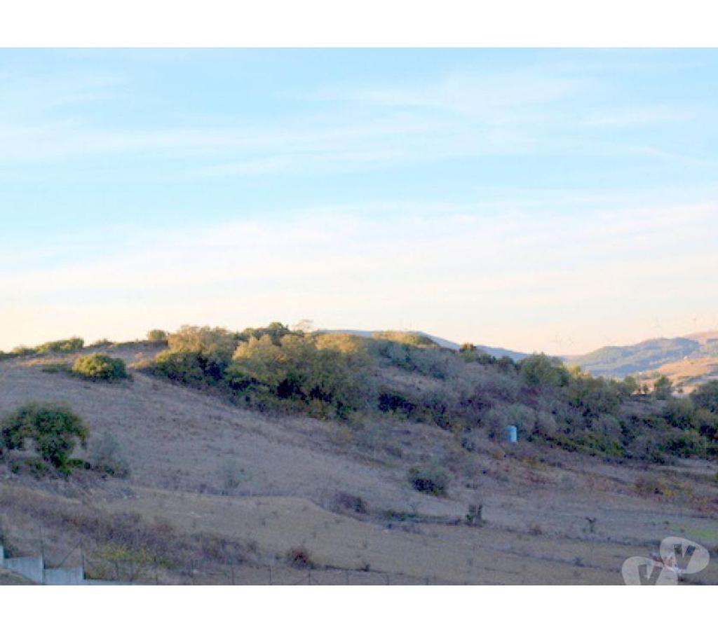 Terrain à vendre Portugal - Photos Vivastreet Terrain - Sobral de Monte Agraï¿½o - 10840m2